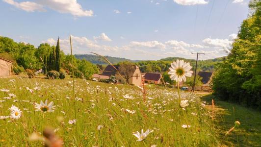 Annonce Vente Terrain Vitrac 24