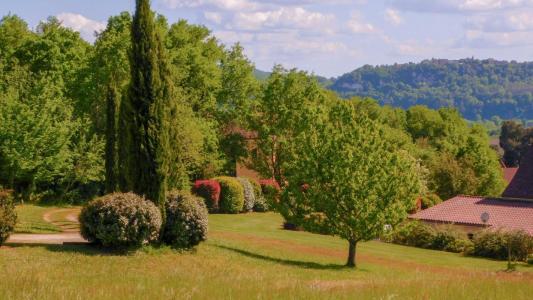 Acheter Terrain 2561 m2 Vitrac