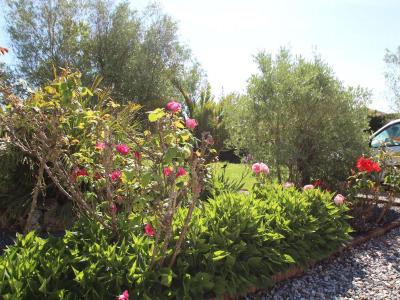 Annonce Vente 6 pi�ces Maison Cambon 81