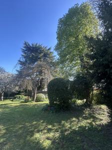 Acheter Maison 132 m2 Fondettes