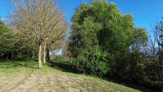 Acheter Maison 175 m2 Cambremer