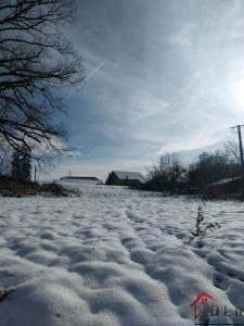 Acheter Maison Adelans-et-le-val-de-bithaine 70000 euros