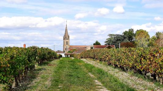 Acheter Terrain 568 m2 Martillac