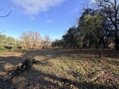 For sale AXE NIMES   ALES Gard (30360) photo 2