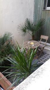 Annonce Location Appartement Bordeaux 33