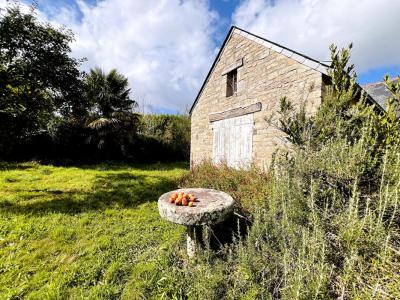 Annonce Vente 4 pi�ces Maison Arradon 56