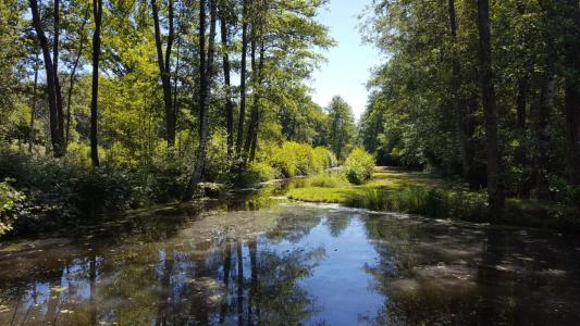 Acheter Terrain Clemont Cher