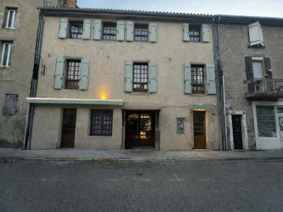 Acheter Maison 399 m2 Mirepoix