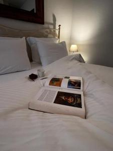 Acheter Maison Mirepoix 450500 euros