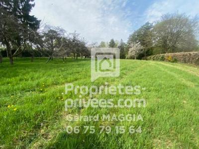 For sale Molac 2530 m2 Morbihan (56230) photo 0