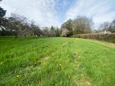 Annonce Vente Terrain Molac 56