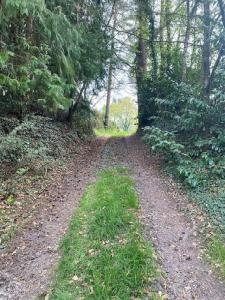 Acheter Terrain 2530 m2 Molac