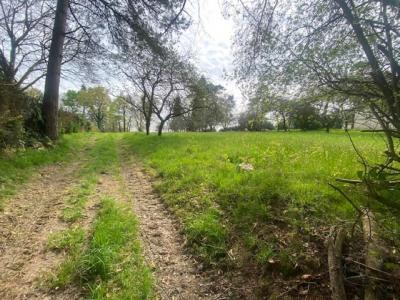 Acheter Terrain Molac Morbihan