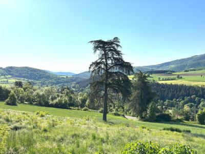 Acheter Terrain Bourg-argental Loire