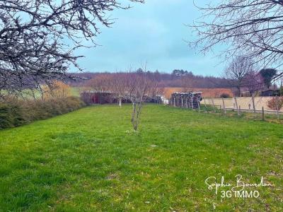 Annonce Vente Terrain Brosses 89