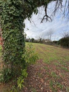 For sale Castelnau-de-medoc 514 m2 Gironde (33480) photo 0