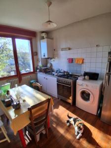 Acheter Immeuble Bouscat 424000 euros