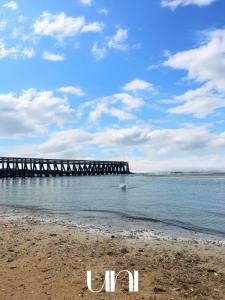 Acheter Appartement Courseulles-sur-mer Calvados