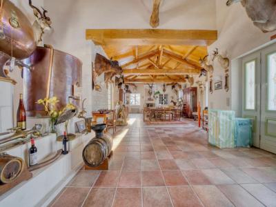 Acheter Prestige Fontcouverte Charente maritime