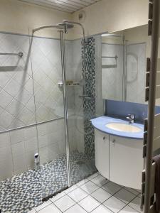 Acheter Maison  490000 euros