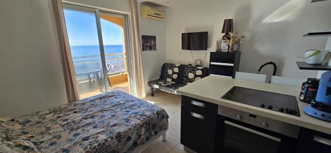 For sale SANGUINAIRES 1 room 23 m2 Corse (20090) photo 0