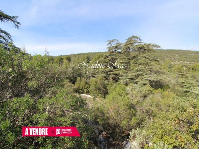 Acheter Terrain 1650 m2 Plan-d'aups-sainte-baume