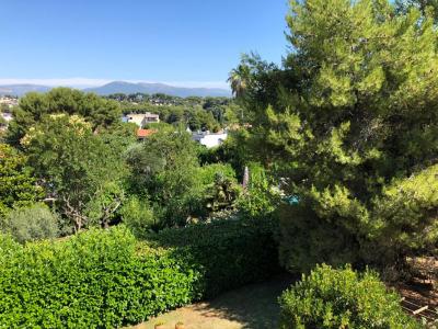 Acheter Appartement Antibes Alpes Maritimes