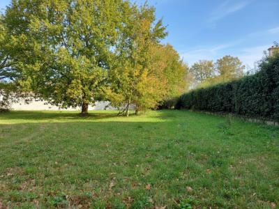 For sale Breuillet 370 m2 Charente maritime (17920) photo 0