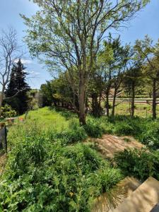 For sale Roquevaire 4 rooms 83 m2 Bouches du Rhone (13360) photo 0