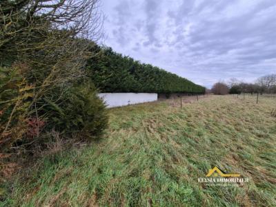 Acheter Terrain Valleroy 66000 euros