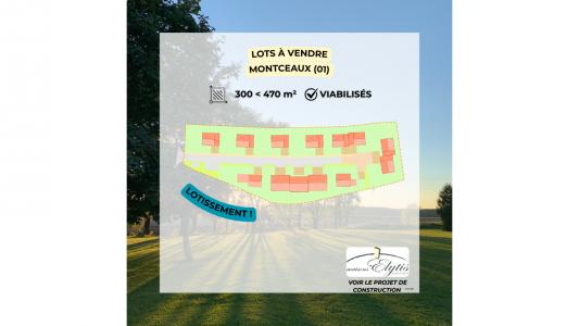 For sale Montceaux 375 m2 Ain (01090) photo 0