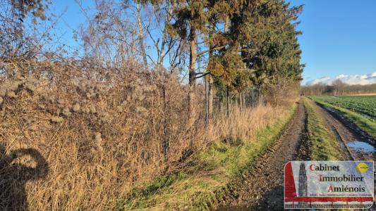 Annonce Vente Terrain Allonville 80