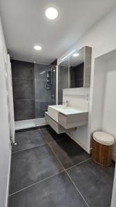 Louer Appartement Grenoble Isere