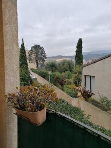 Louer Appartement Folelli 650 euros