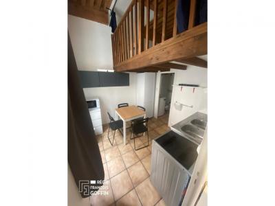 Annonce Location Appartement Lyon-7eme-arrondissement 69