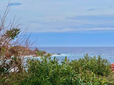 Acheter Appartement Lumio Corse