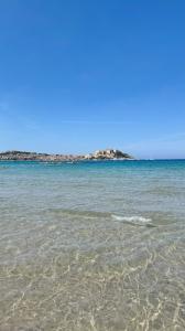 Annonce Vente 3 pi�ces Appartement Calvi 20