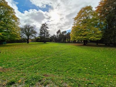 Annonce Vente 6 pi�ces Maison Linars 16