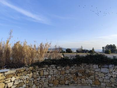 Annonce Vente 3 pi�ces Appartement  13