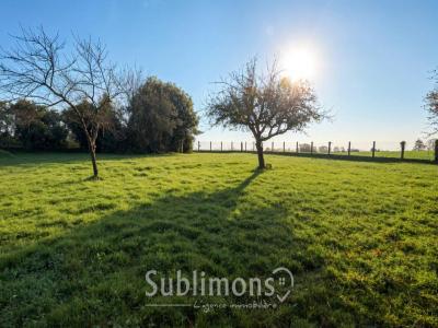 Annonce Vente 5 pi�ces Maison Questembert 56