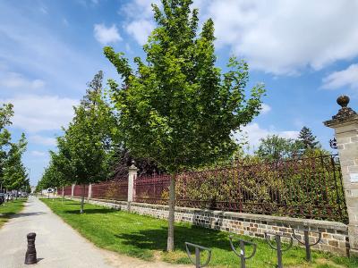 Annonce Vente 2 pi�ces Appartement Vitre 35