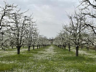 For sale Mirabel 1 room Tarn et garonne (82440) photo 1