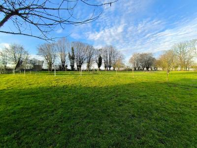 Acheter Maison 89 m2 Elbeuf-en-bray