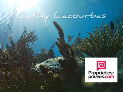 Annonce Vente Prestige Deshaies 971