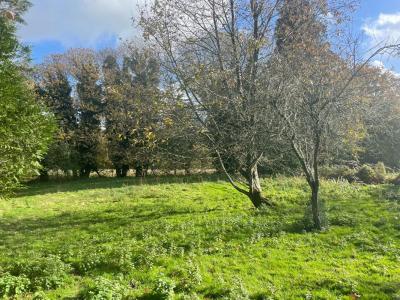 Annonce Vente 8 pi�ces Maison Guern 56