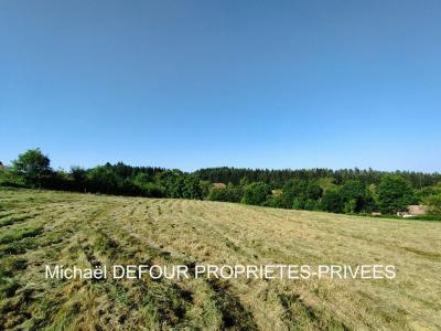 Annonce Vente Terrain Raucoules 43
