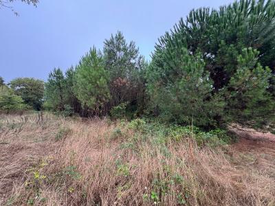 Acheter Terrain Saint-pe-saint-simon 210000 euros