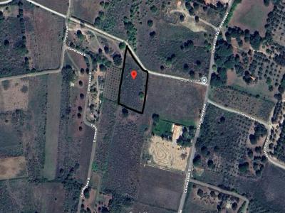 Annonce Vente Terrain Palau-del-vidre 66