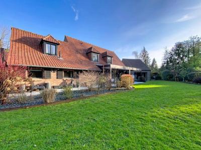 Annonce Vente 9 pi�ces Maison Fleurbaix 62