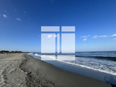 For sale Sorbo-ocagnano 3 rooms 30 m2 Corse (20213) photo 0